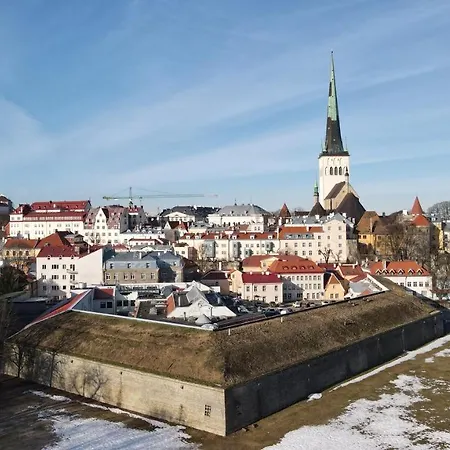 Cozy Two-story Loft 6 아파트 탈린